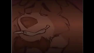 256 furry porn videos